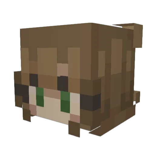 DoraIsTired Minecraft avatar head, 3D render