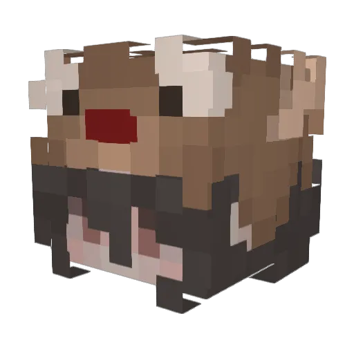 Doramily Minecraft avatar head, 3D render