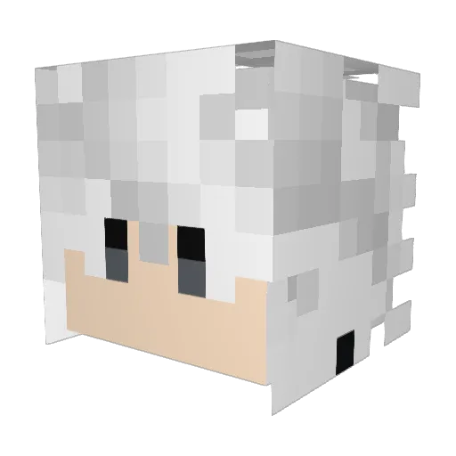 Doranteskun Minecraft avatar head, 3D render