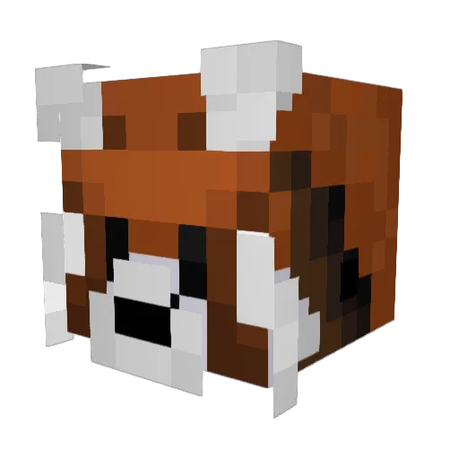 Doraymonnn Minecraft avatar head, 3D render