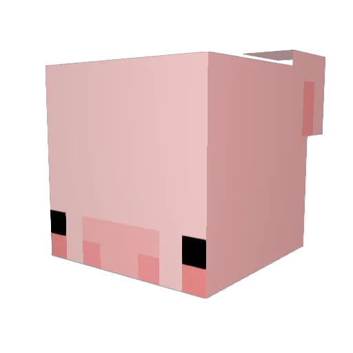 DorciaToDzban Minecraft avatar head, 3D render