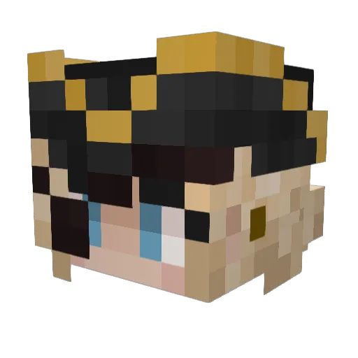 Dorcica18 Minecraft avatar head, 3D render
