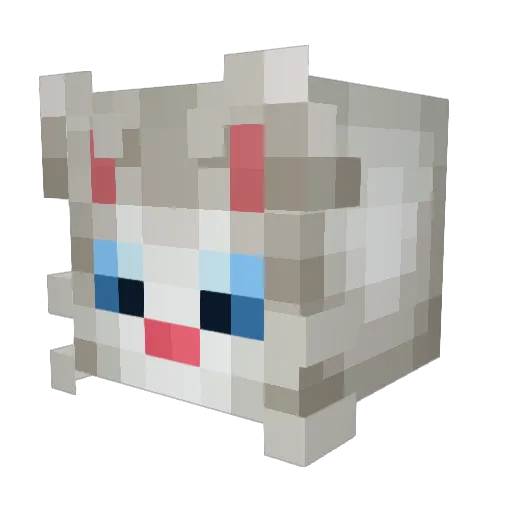 DorcyBossol Minecraft avatar head, 3D render