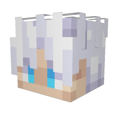 Dordsz Minecraft avatar head, 3D render