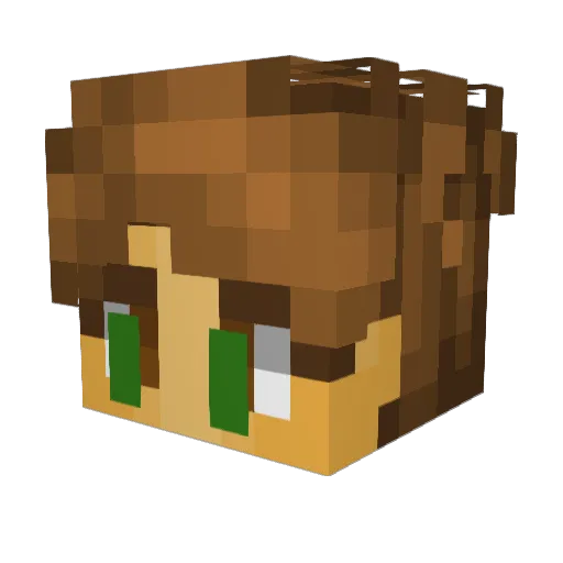 Dorganator Minecraft avatar head, 3D render