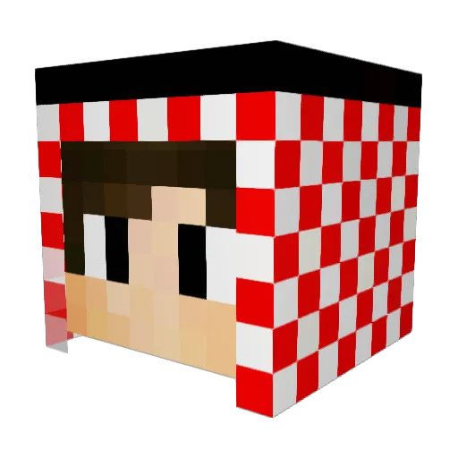 Dorhnii Minecraft avatar head, 3D render