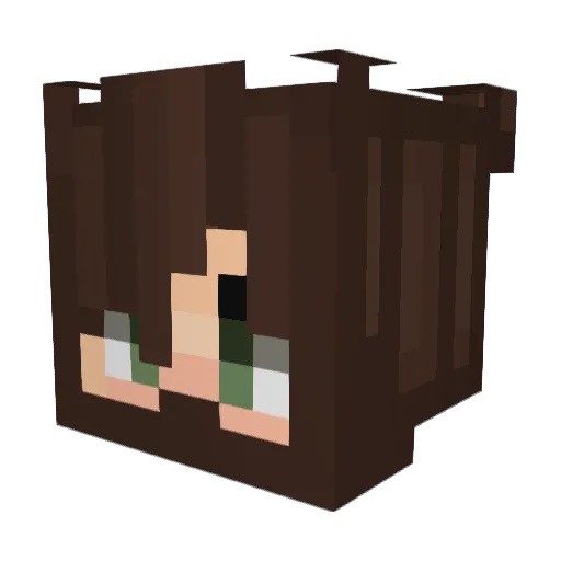 DorianZ98574 Minecraft avatar head, 3D render