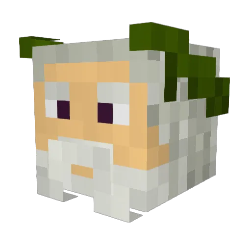 Doridimic777 Minecraft avatar head, 3D render
