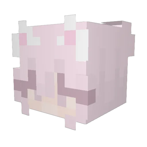 Doris3 Minecraft avatar head, 3D render