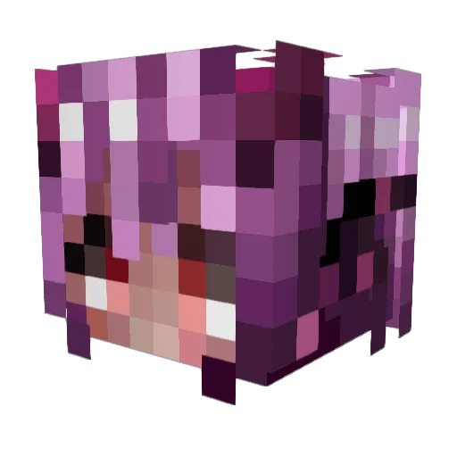 Dorito1400 Minecraft avatar head, 3D render
