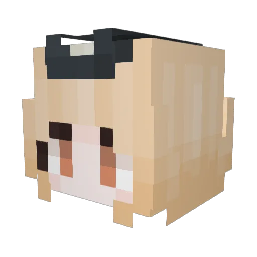 DorkDoki Minecraft avatar head, 3D render