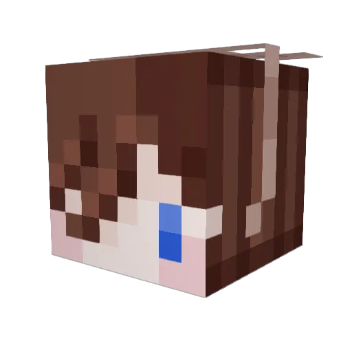 Dorkizoid Minecraft avatar head, 3D render