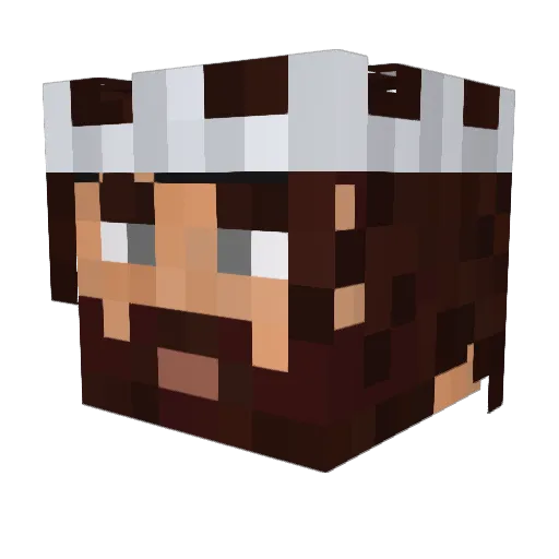 Dorks_ Minecraft avatar head, 3D render