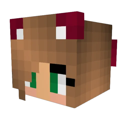 Dorlimin Minecraft avatar head, 3D render