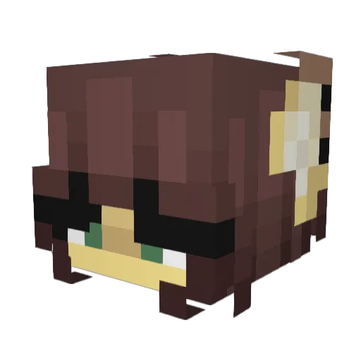 Dorm1_Mel0n0v Minecraft avatar head, 3D render