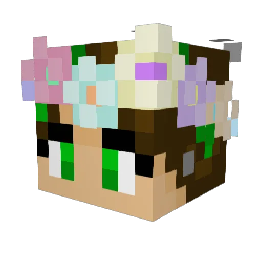 DormantPanda257 Minecraft avatar head, 3D render