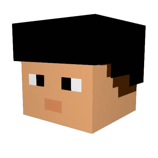 Dorobin Minecraft avatar head, 3D render
