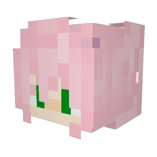 DorothyWayne Minecraft avatar head, 3D render