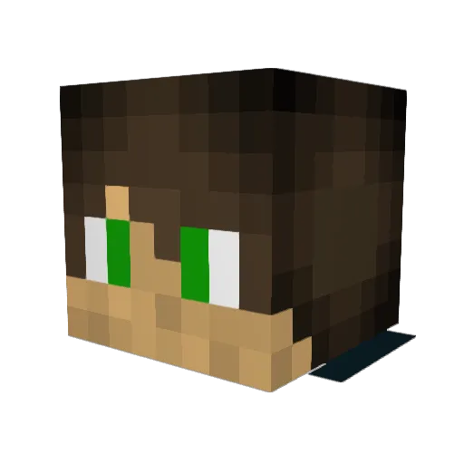 Doroudan Minecraft avatar head, 3D render