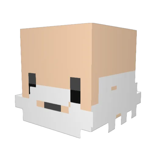 Dorqrin Minecraft avatar head, 3D render