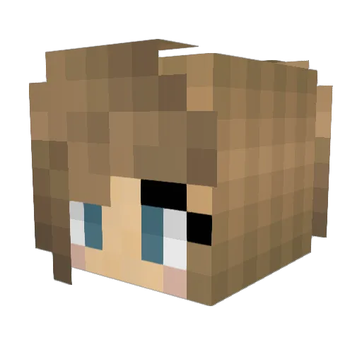 Dorrie4n Minecraft avatar head, 3D render