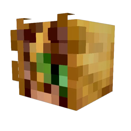 DorritoBurrito Minecraft avatar head, 3D render