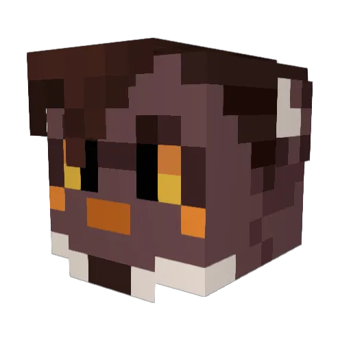 Dorsiak Minecraft avatar head, 3D render
