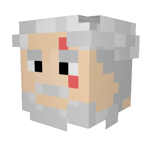 Dorteil Minecraft avatar head, 3D render