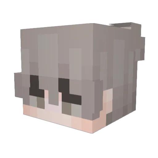 Doruu Minecraft avatar head, 3D render