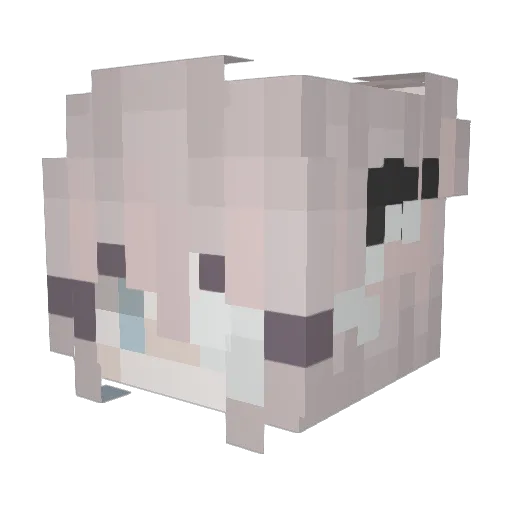 DorySad_ Minecraft avatar head, 3D render