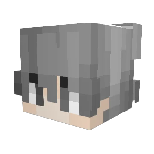 Dorygann Minecraft avatar head, 3D render