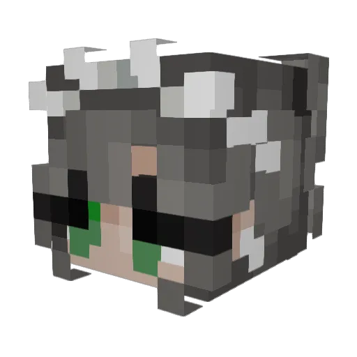 Doryss Minecraft avatar head, 3D render