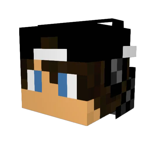 Dosenbosner04 Minecraft avatar head, 3D render