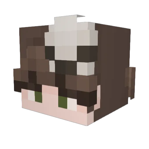 Doshimi Minecraft avatar head, 3D render