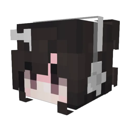 Dosilian Minecraft avatar head, 3D render
