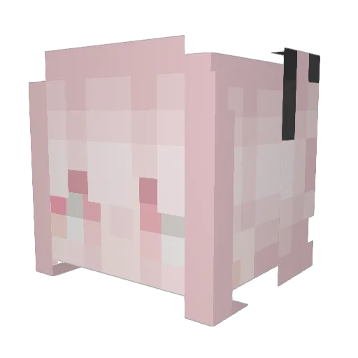 Doskang Minecraft avatar head, 3D render