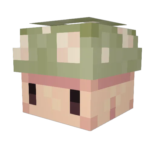 Doster_ Minecraft avatar head, 3D render