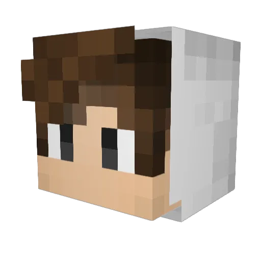 Dostew Minecraft avatar head, 3D render