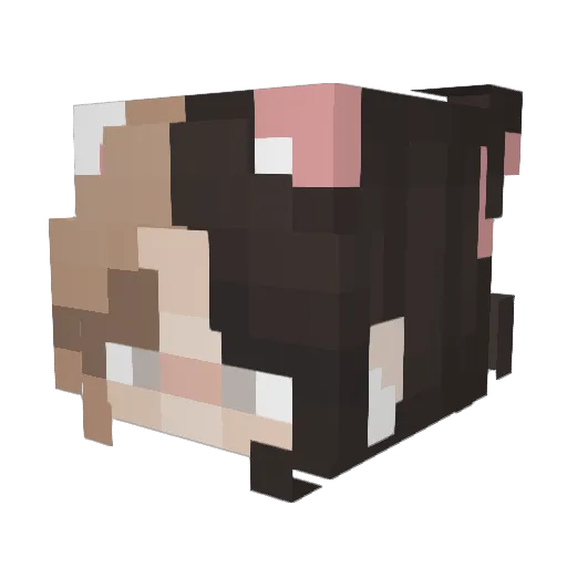 Dota_exe Minecraft avatar head, 3D render