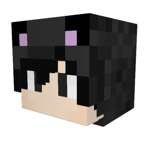 Dotekabo Minecraft avatar head, 3D render