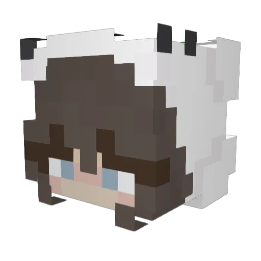 DotiPL Minecraft avatar head, 3D render