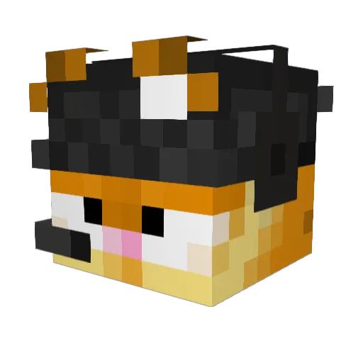 Dotty00 Minecraft avatar head, 3D render