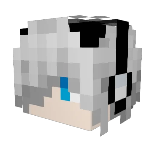 DouBi_J Minecraft avatar head, 3D render