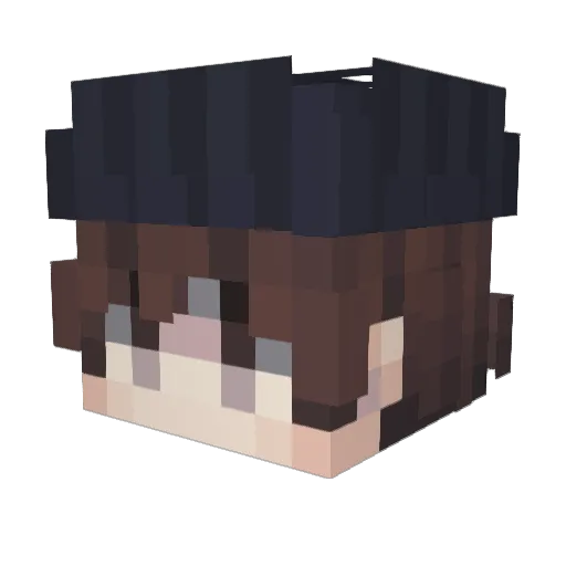 DoubLeo66 Minecraft avatar head, 3D render