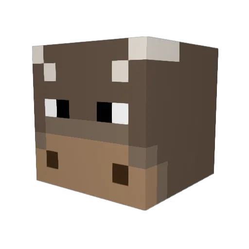Double0M00P Minecraft avatar head, 3D render
