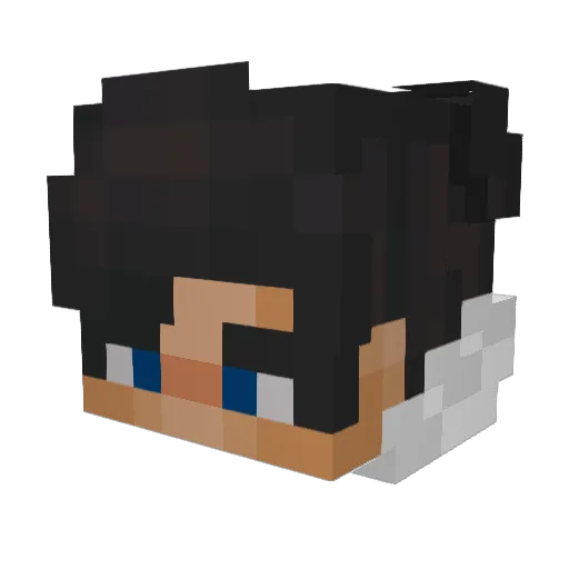 DoubleA_122 Minecraft avatar head, 3D render