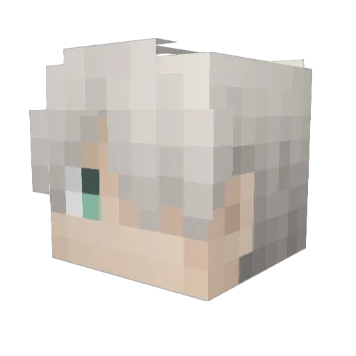 DoubleBrackets Minecraft avatar head, 3D render