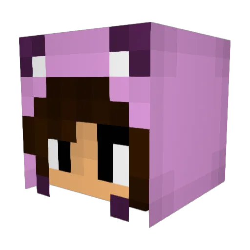 DoubleChang Minecraft avatar head, 3D render