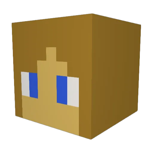 DoubleDip20073 Minecraft avatar head, 3D render