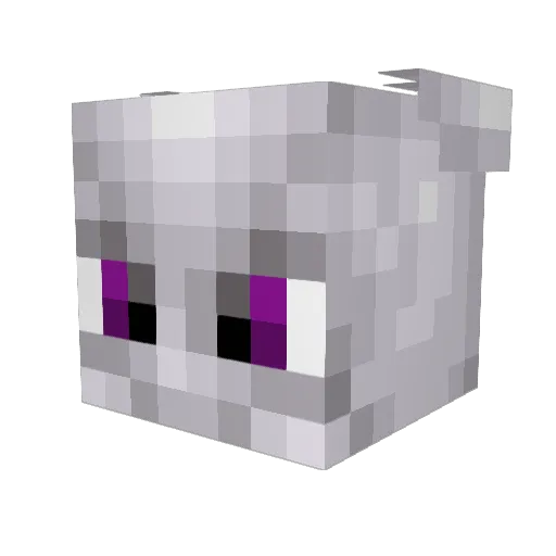 DoubleFlamingo Minecraft avatar head, 3D render